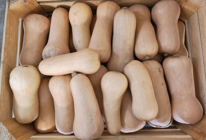 Butternut Butternut