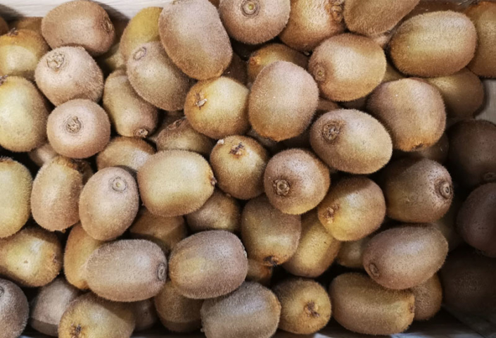 Kiwis Kiwis