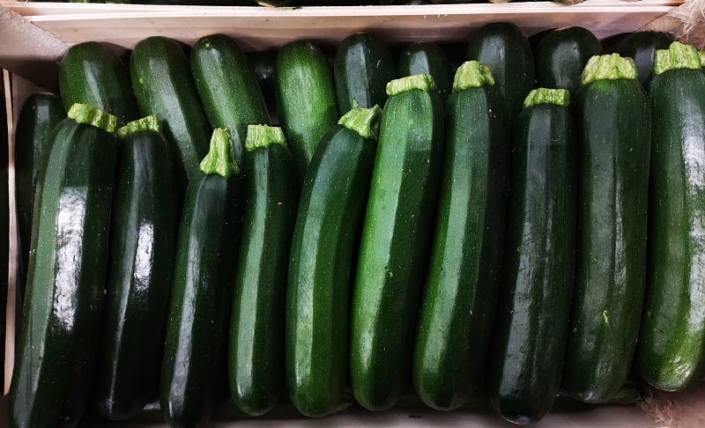 Courgette Pays Courgette Pays