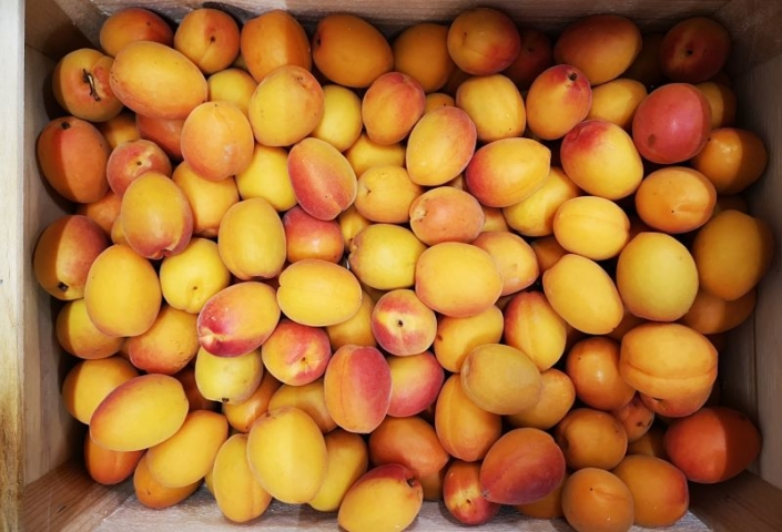 Abricot Confiture Abricot Confiture