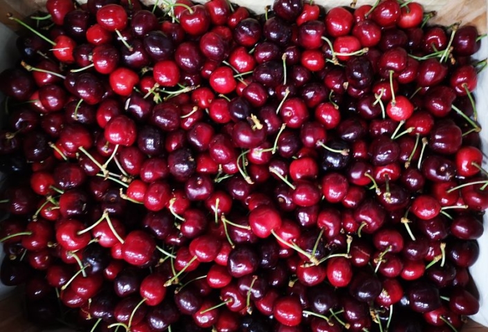 Cerise Cerise