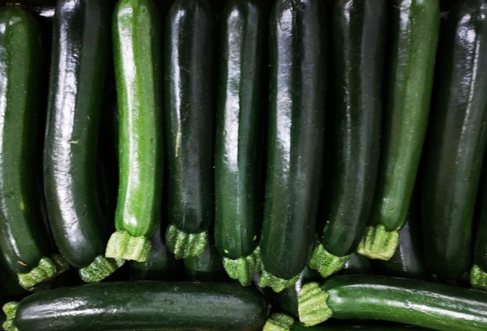 Courgette Provence Courgette Provence
