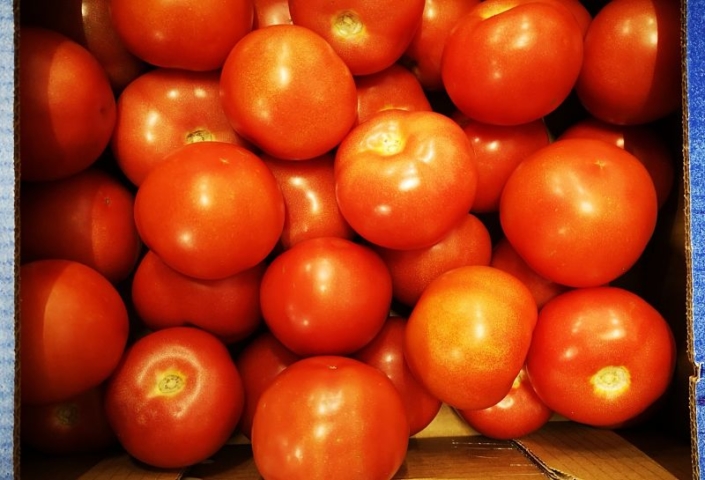 Tomate Provence Tomate Provence
