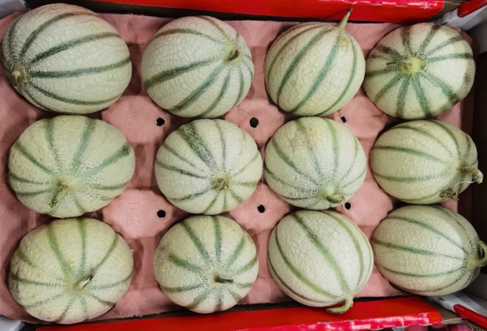 Melons