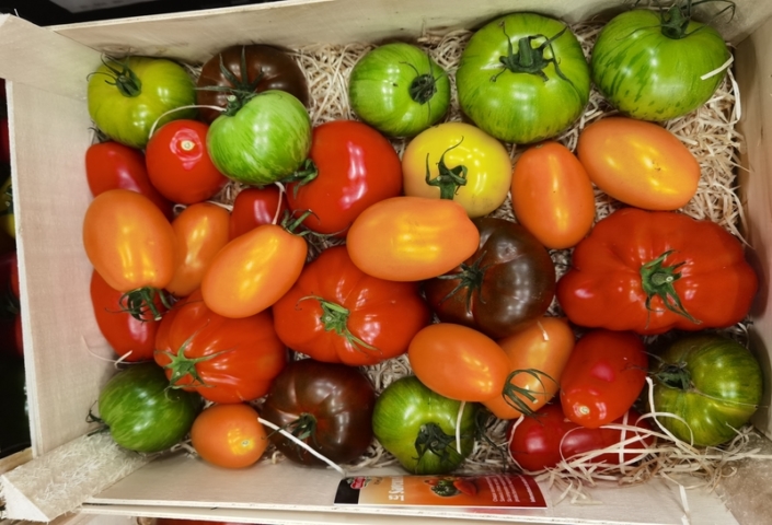 Tomates anciennes