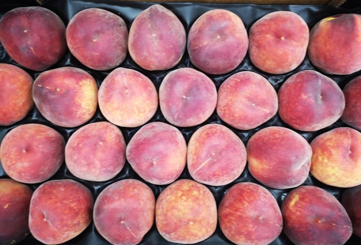 Pêches