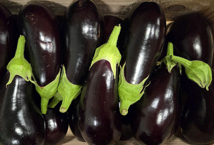 aubergine