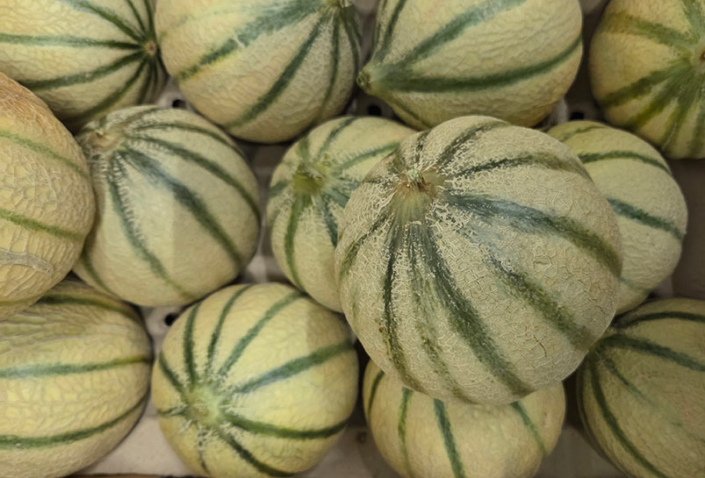 melon