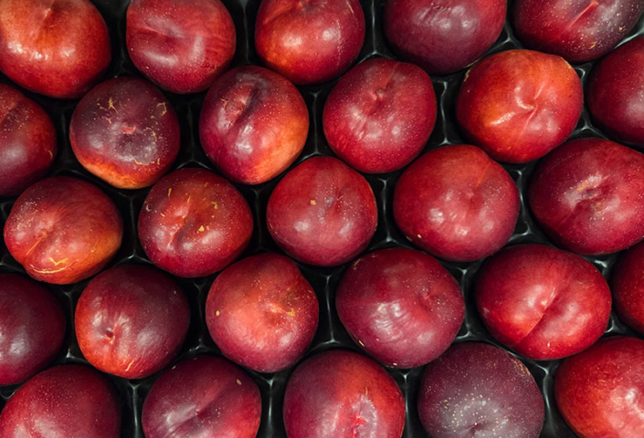 nectarine