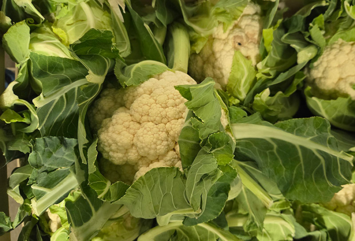 Chou-blanc